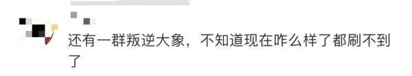 监测|“差点忘了，太空还有三个中国人”！网友：最近地球有点忙
