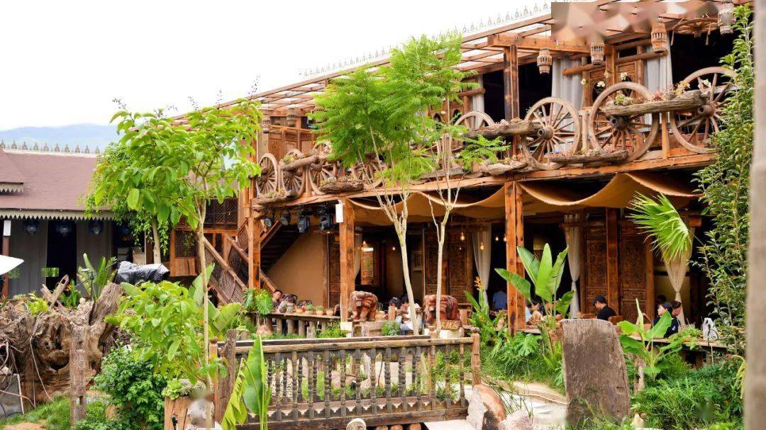 网红博主体验冰岛茶文化之旅临沧景兰文旅全程助力