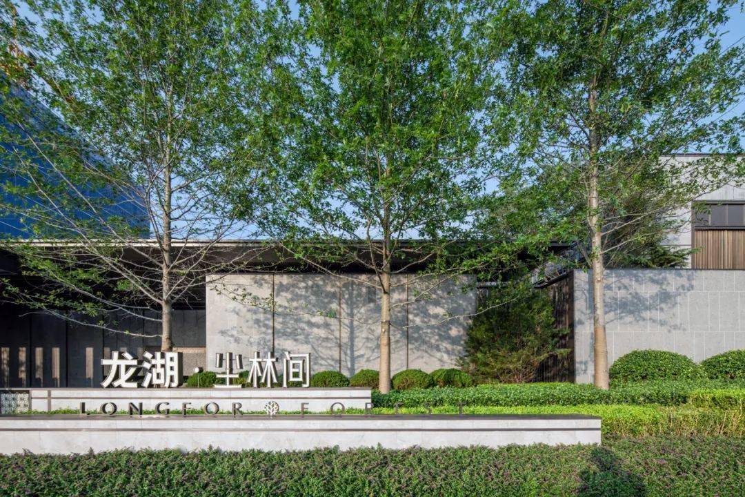 园纳自然,林隐万物 | 大连龙湖尘林间