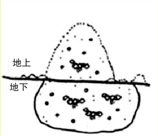 蚂蚁巢结构简笔画图片