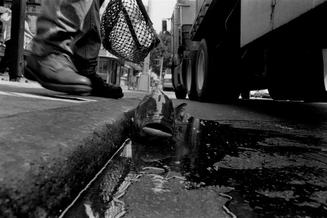 张乾琦摄影作品分享