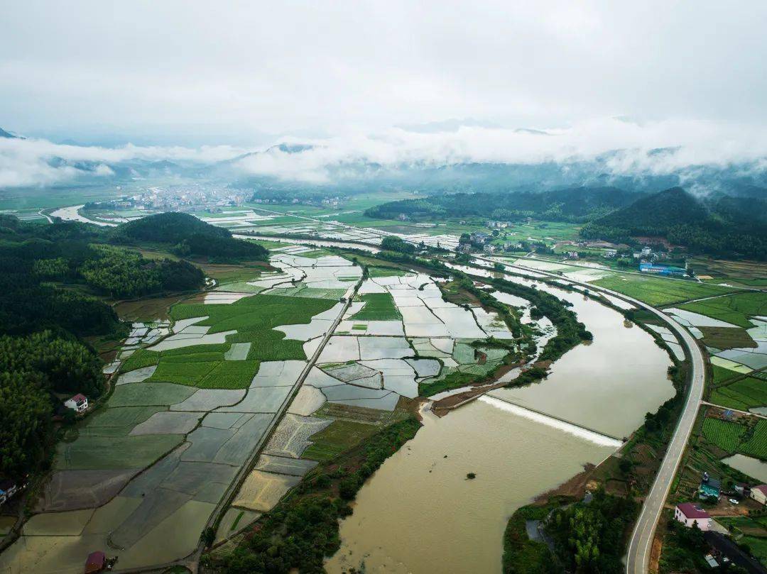 闽北美景|浦城忠信镇:雨后清晨 醉美田野 一幅绿色生态画卷缓缓展开
