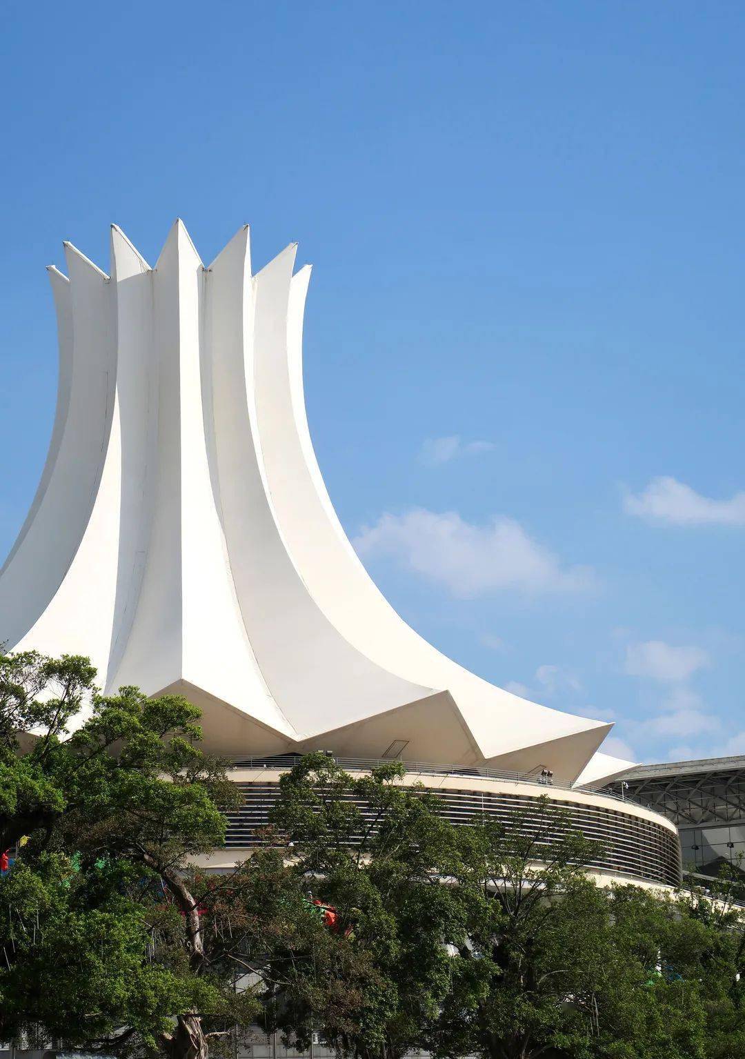 的天空画布与白色的"朱槿花"简单融合彭寰/摄正面"朱槿花 双翼展翅"