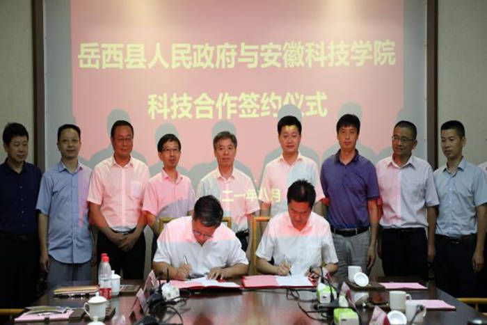 蒋德勤等受到岳西县委书记江春生,县委副书记,县长何斌,县委常委,副