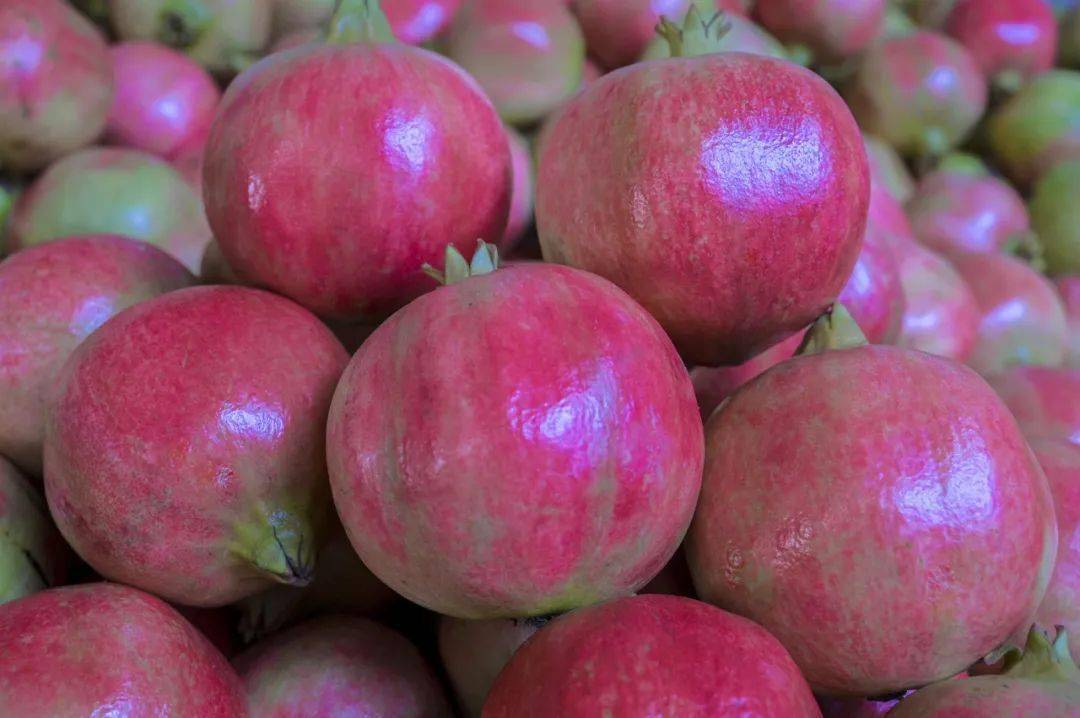 清甜爆汁!大田石榴"甜蜜"上市_何荣明