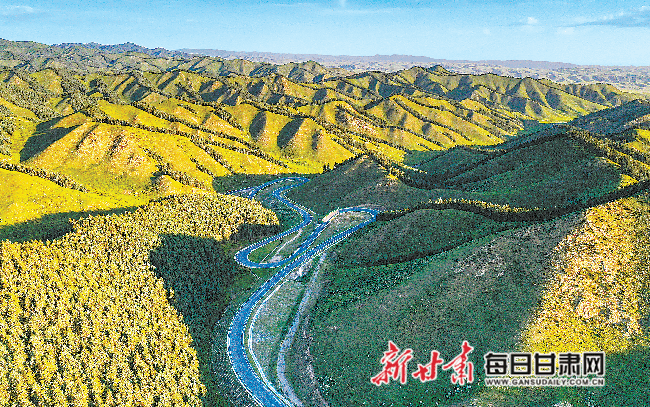 草原|天祝县松山滩草原牧草丰美景色秀丽