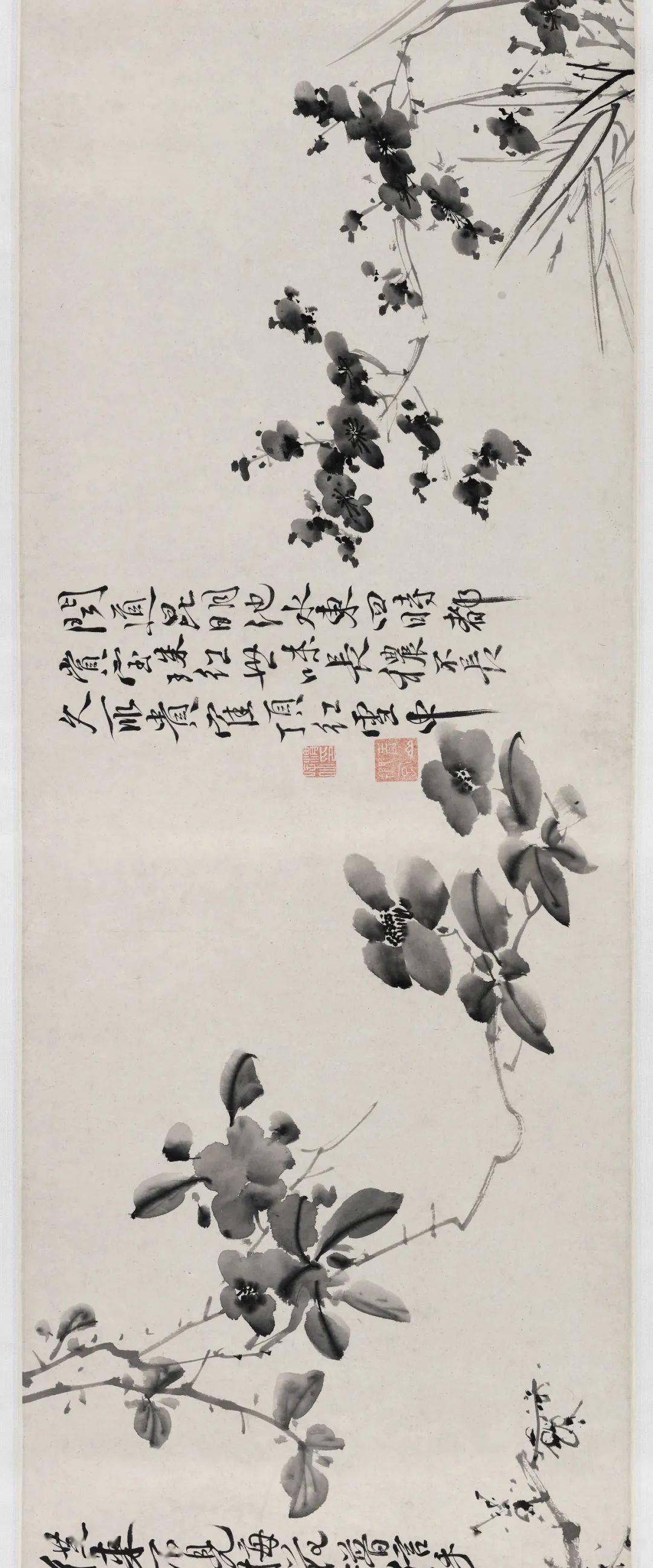 徐渭的墨花这才叫玩水墨