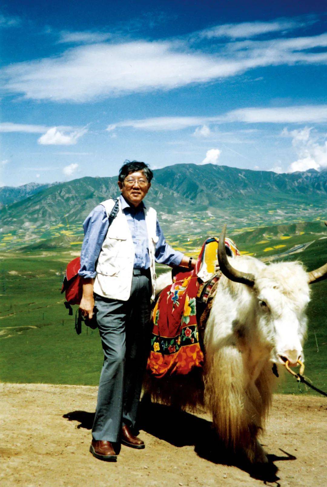 郑珍宇/责编张秋生/著,么么鹿/绘《小巴掌童话诗·恐龙妈妈孵蛋》获奖