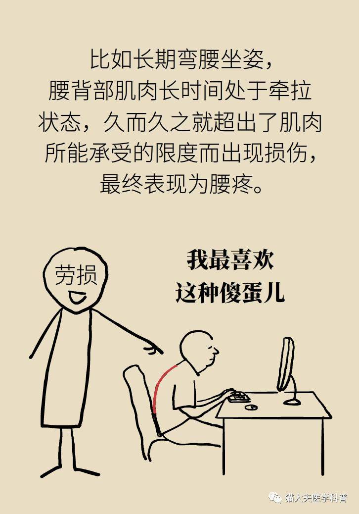 科普|年纪轻轻，也没干啥体力活儿，怎么就腰肌劳损了？