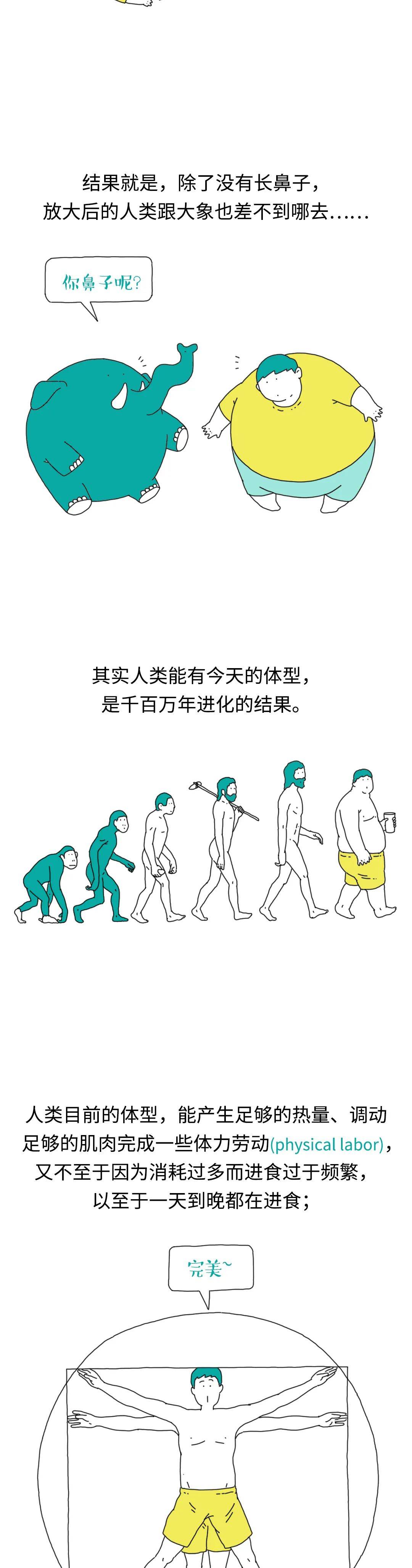 邢昕|哆啦A梦的缩小放大灯原来是个坑？