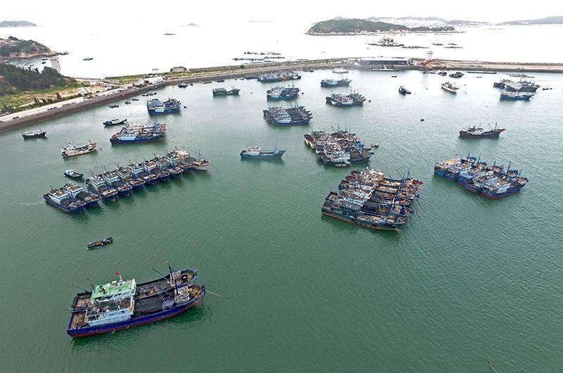 8月4日拍摄的停泊在漳州市龙海区港尾镇斗美渔港的渔船