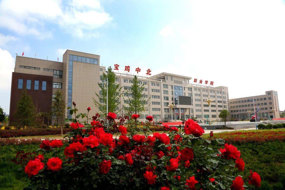 【关注】@中卫中考生及家长,你知道她吗?