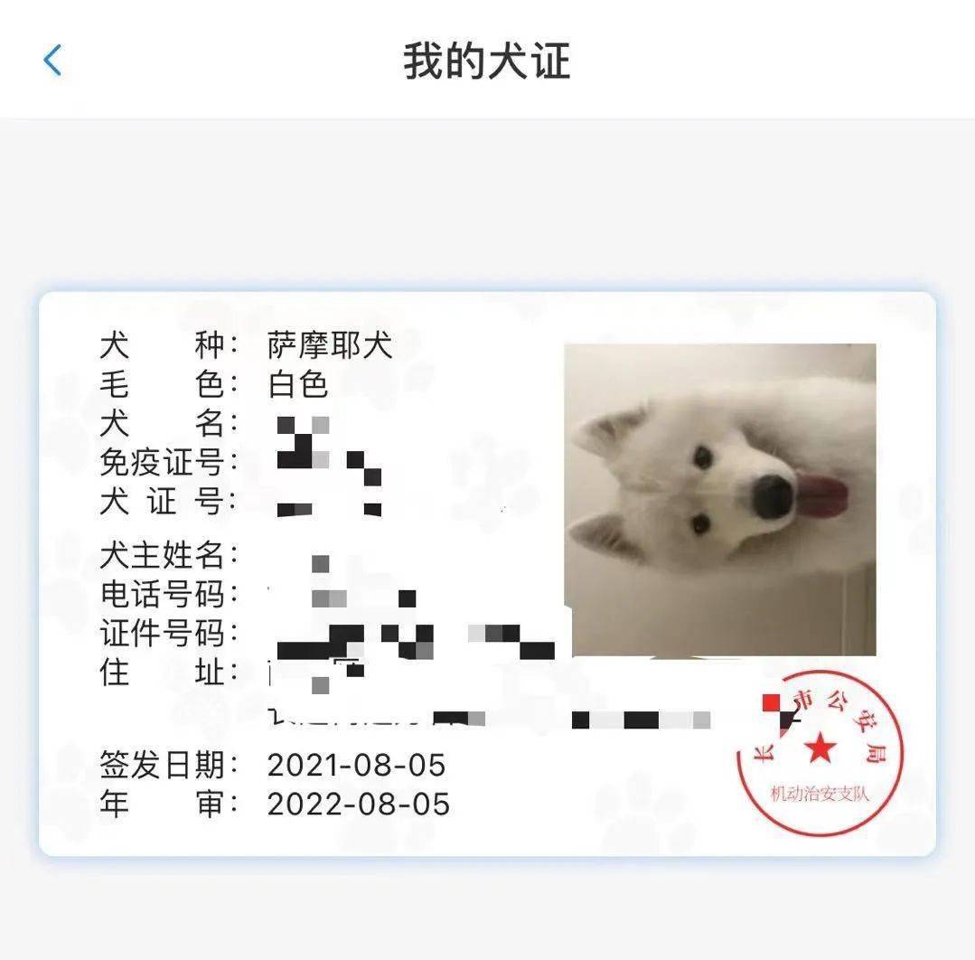 2021犬证照片实图图片