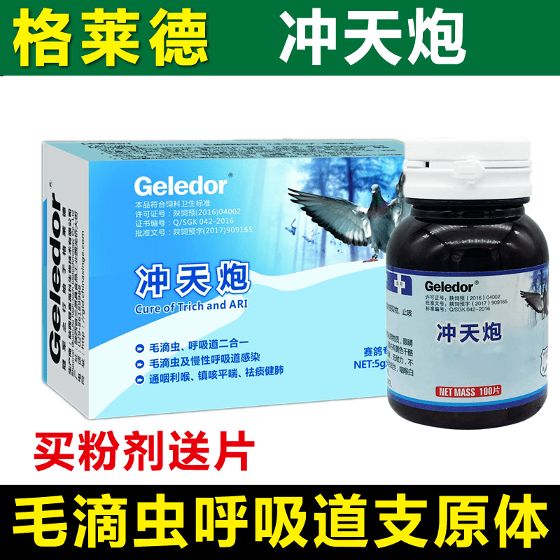 它是盖比五大名鸽最强种公之一鲁迪