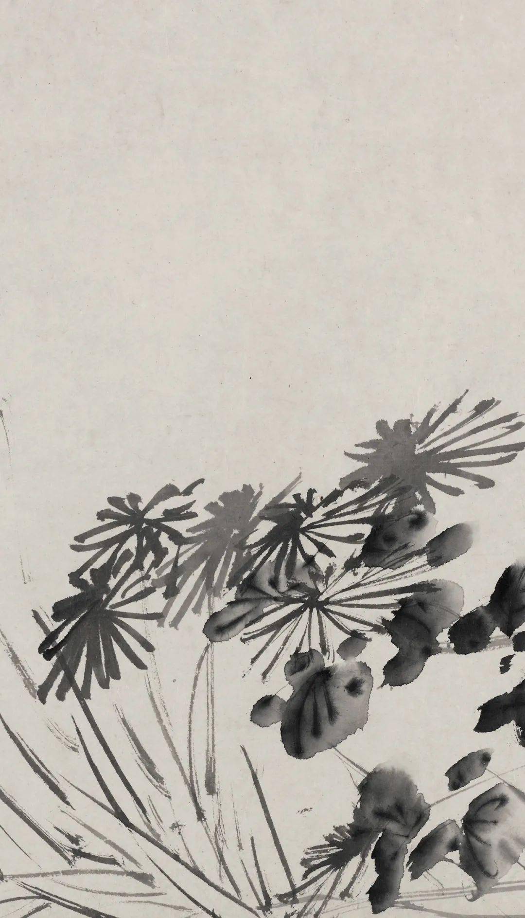 徐渭的墨花这才叫玩水墨