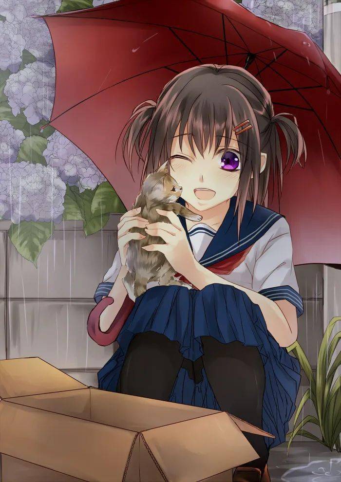 【动漫壁纸】少女少年与猫 赏析