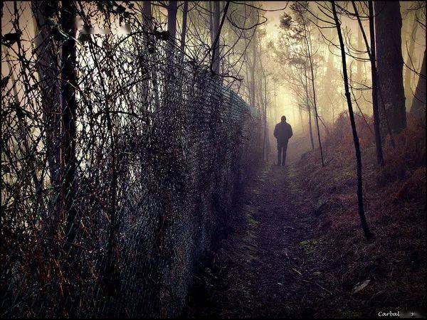 背影- guillermo carballa 摄影作品