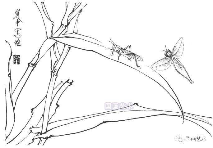 王道中工笔草虫白描画稿欣赏