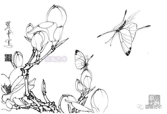 王道中工笔草虫白描画稿欣赏