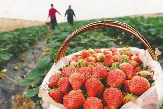 百强县排名2021年_全国百强县市排名2021