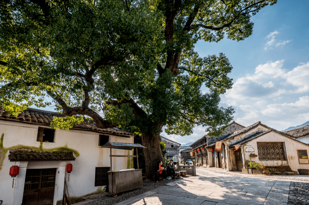金华这个700多年历史元朝古村美得让人意外带你走进一处江南客乡