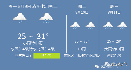 8月9日武汉天气 武汉天气预报 东风