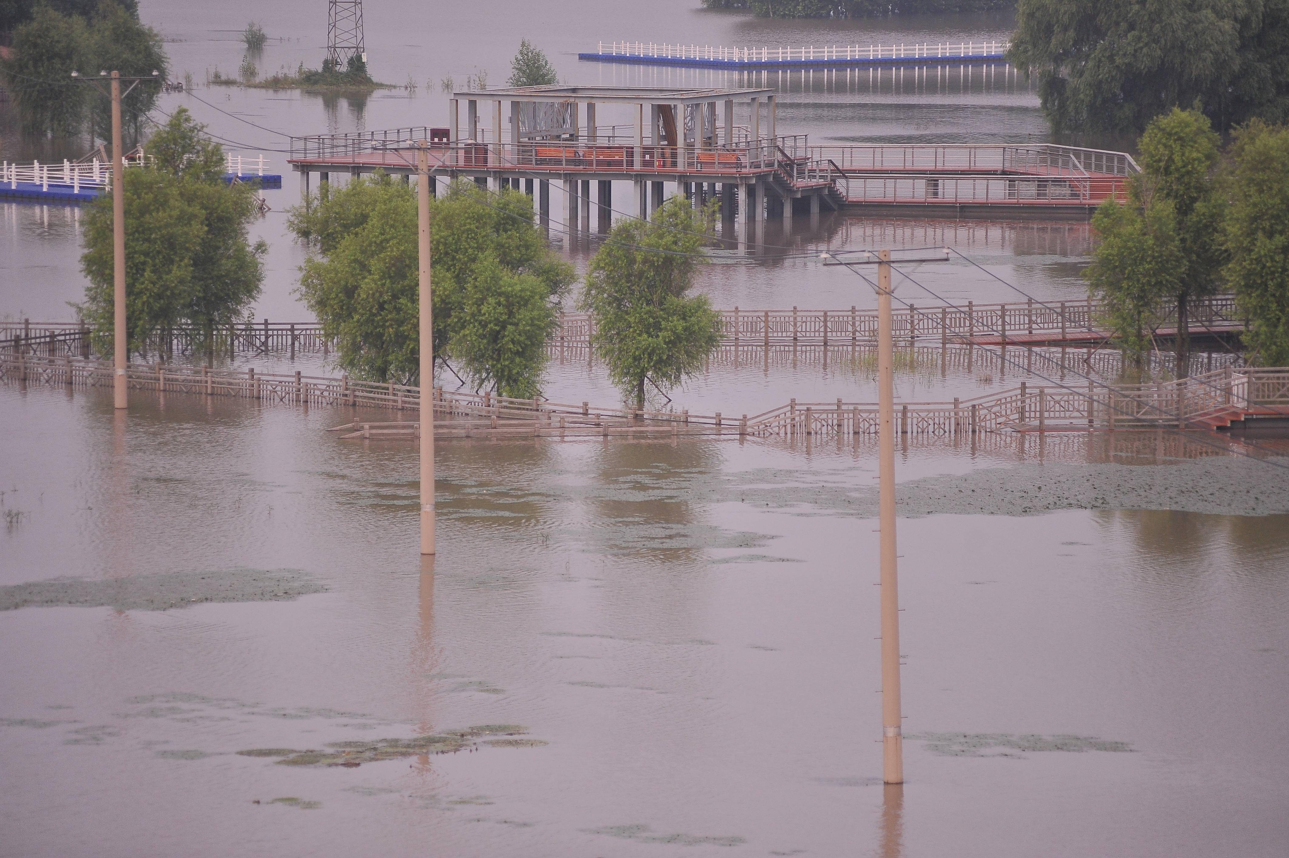 哈尔滨松花江又降001米,网友:危险很快会过去,不会有大洪水了