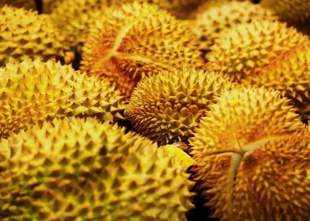 榴莲味道不好闻?确实!但偶尔食用会对身体有这4大好处