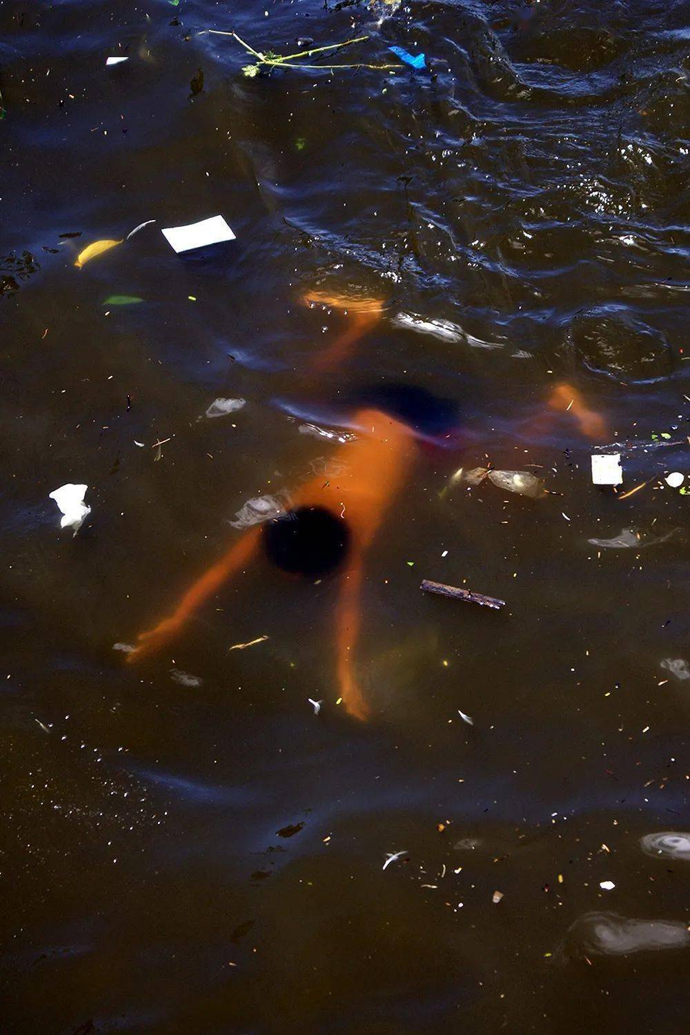 500年才能分解的塑料,如何污染了世界?