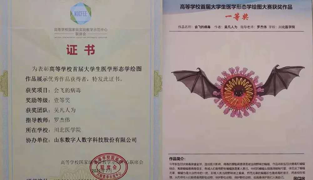 医笔生花四川南充大三医学生手绘病毒图获全国一等奖