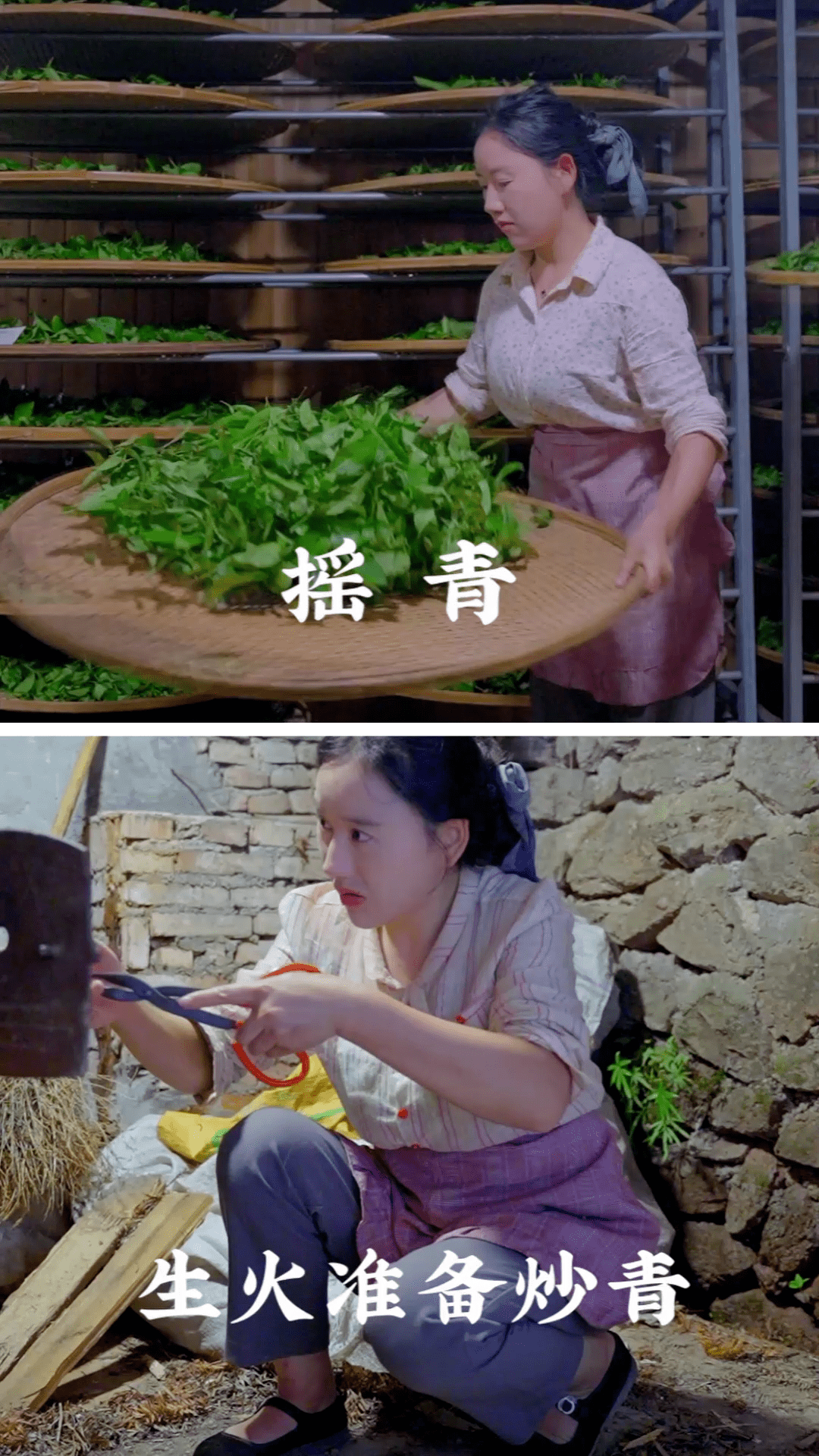这位南平小姐姐靠着真实收获了千万粉丝_沈丹