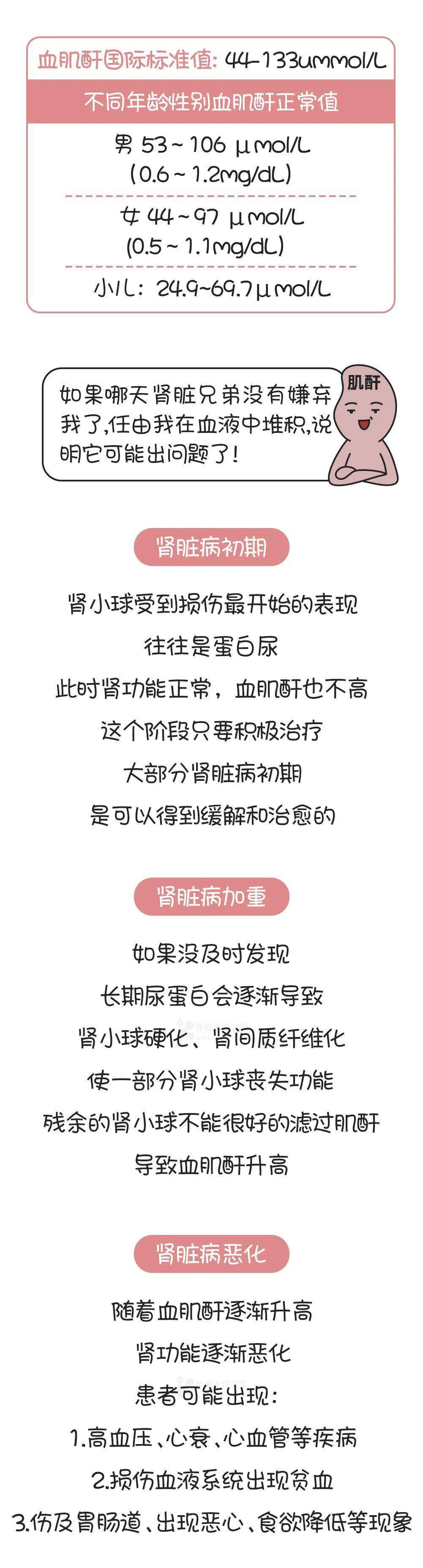血液|科普 | 发现“肌酐”升高，千万别大意！小心……