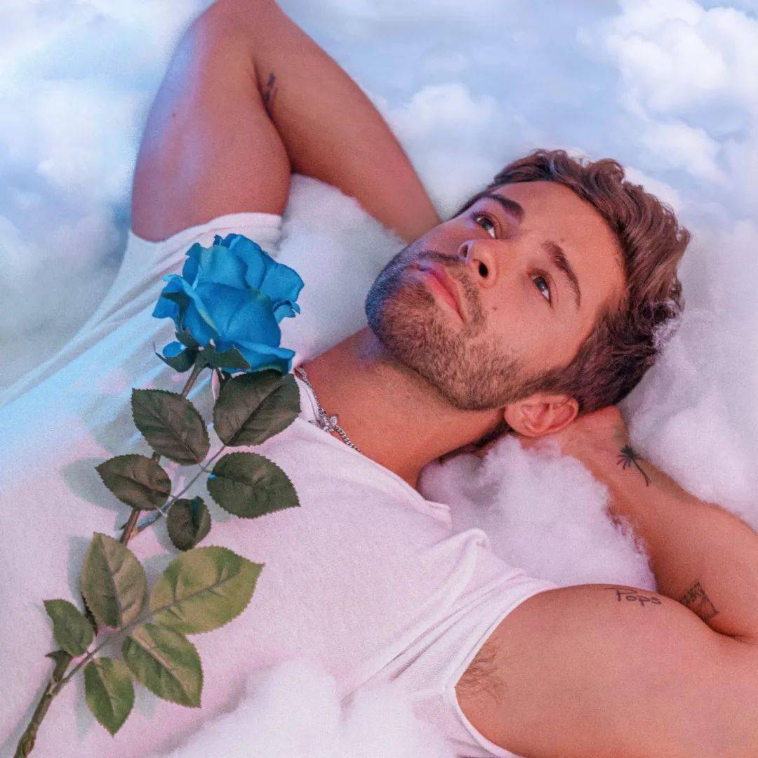 他就是我的诺安成长混合