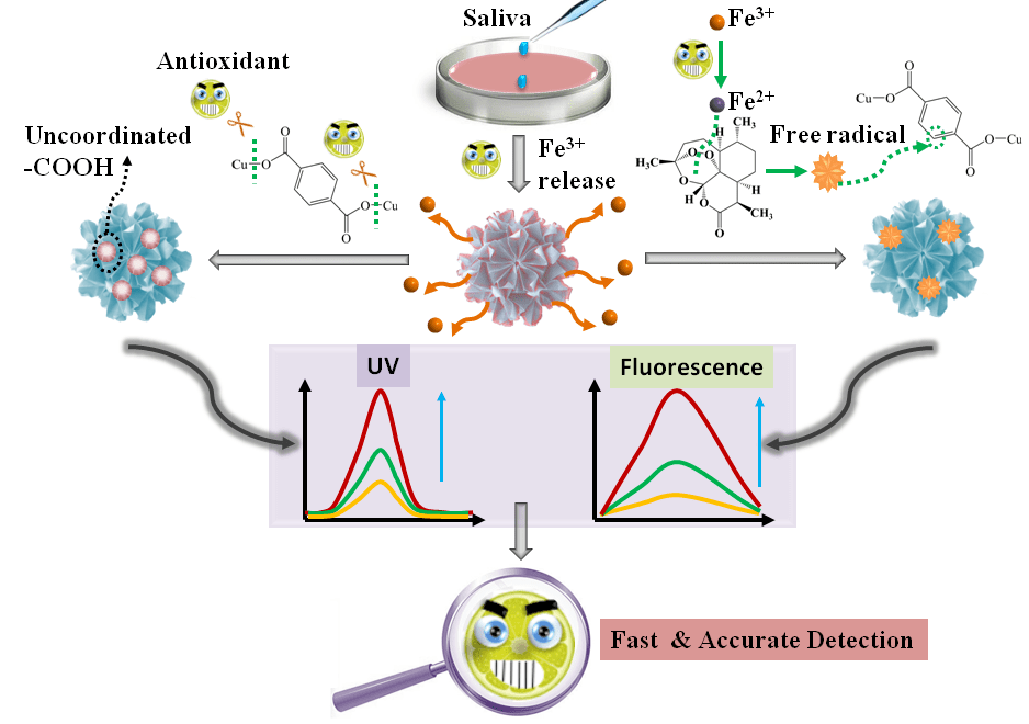 我校研究生在国际知名传感器期刊《Sensors And Actuators B: Chemical》上发表科研成果_论文