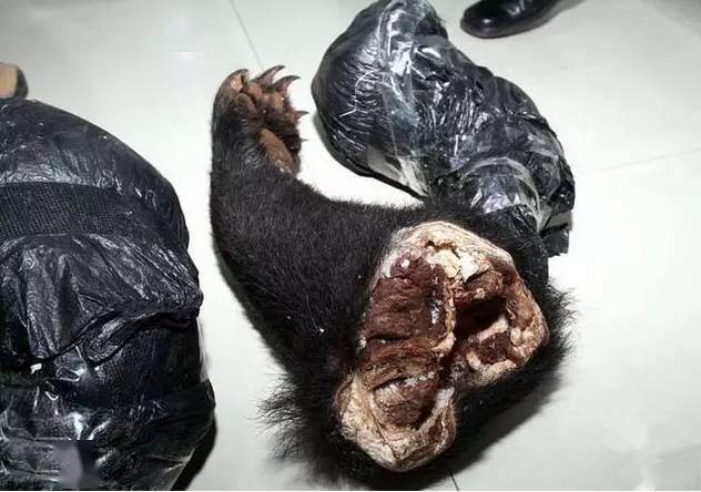 比象牙还残忍的血腥文玩别碰