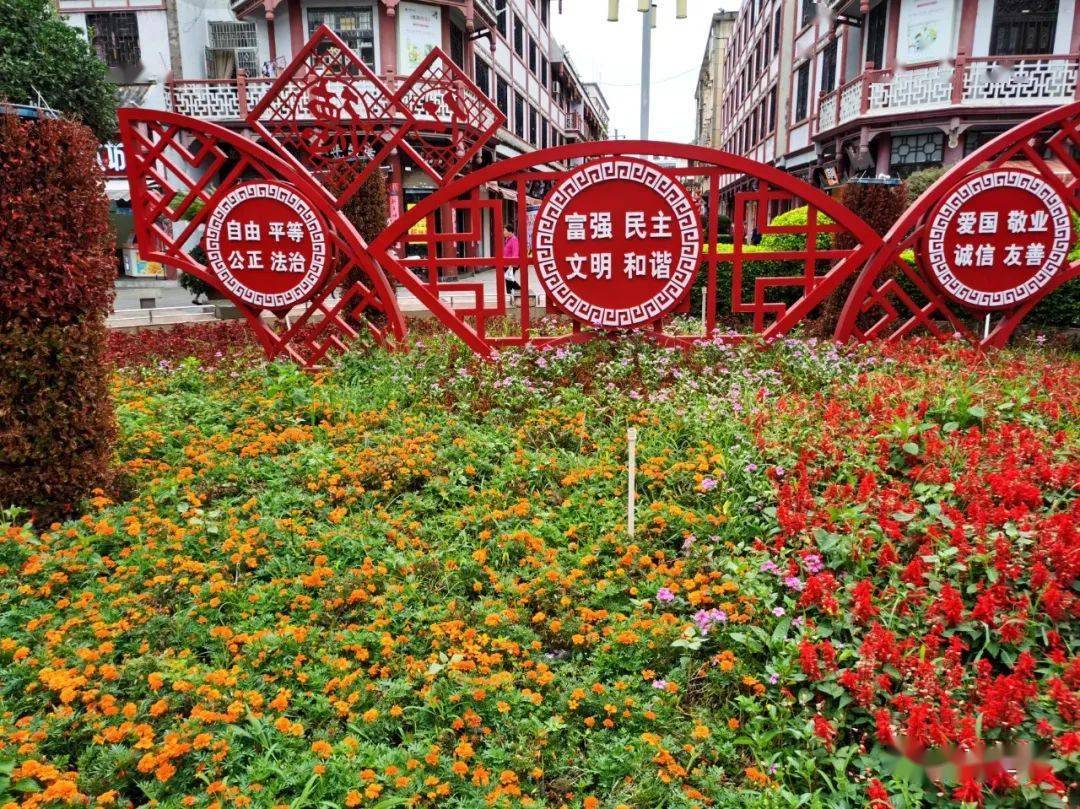 会理街心这些花儿叫啥子名字 快来留言 展其美