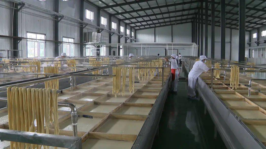 生产加工项目和伊春市丰博牧业有限公司30万头生猪标准化规模养殖项目