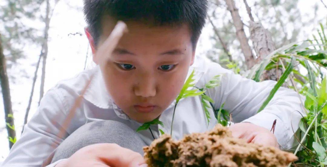 殷然抓虫子时专注的眼神,因为这个爱好,他总是看起来脏脏的