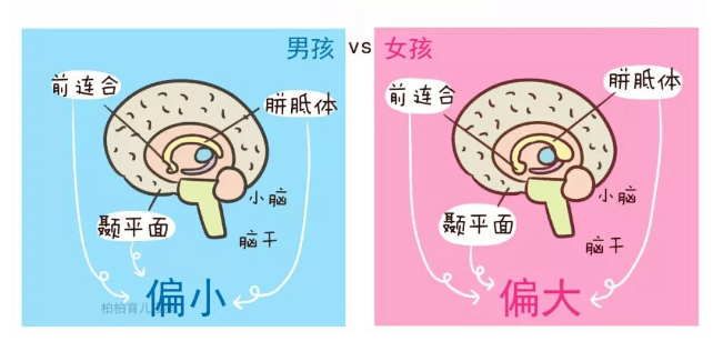 非法孕检是女儿引产后发现是儿子三胎宝爸报警了