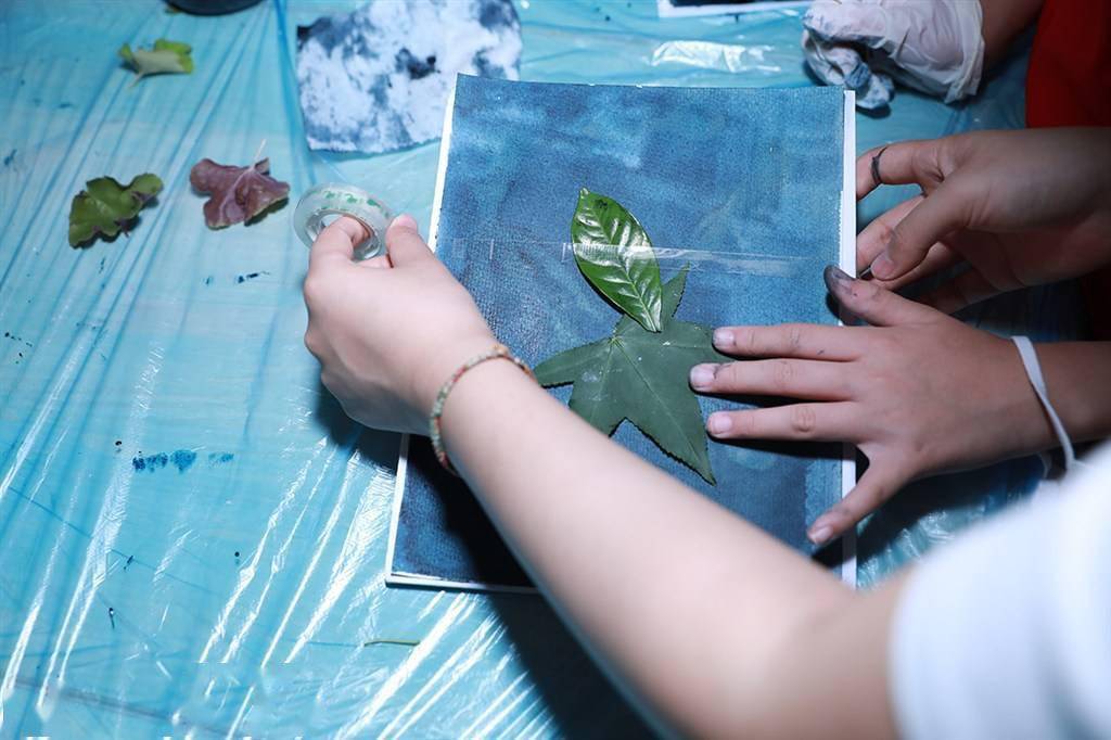 为树叶复刻一张蓝色相片 辰山植物园"蓝晒大揭秘"趣味丛生