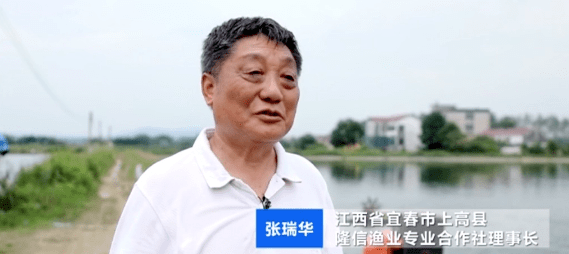 鱼价大涨近20%!采购商奔波400公里进货!啥情况?