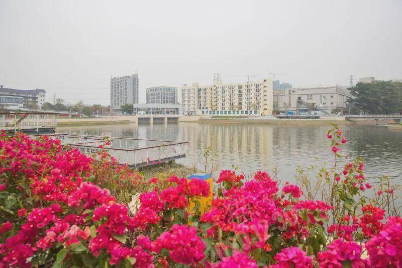 此次入圍的蠔鄉湖公園項目,是沙井街道在市,區的堅強領導下積極貫徹高