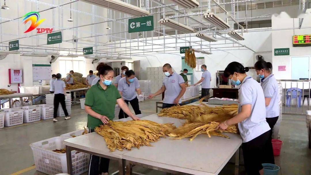 龙岩市烟草公司漳平分公司:积极参与"扬帆计划",为青年办实事