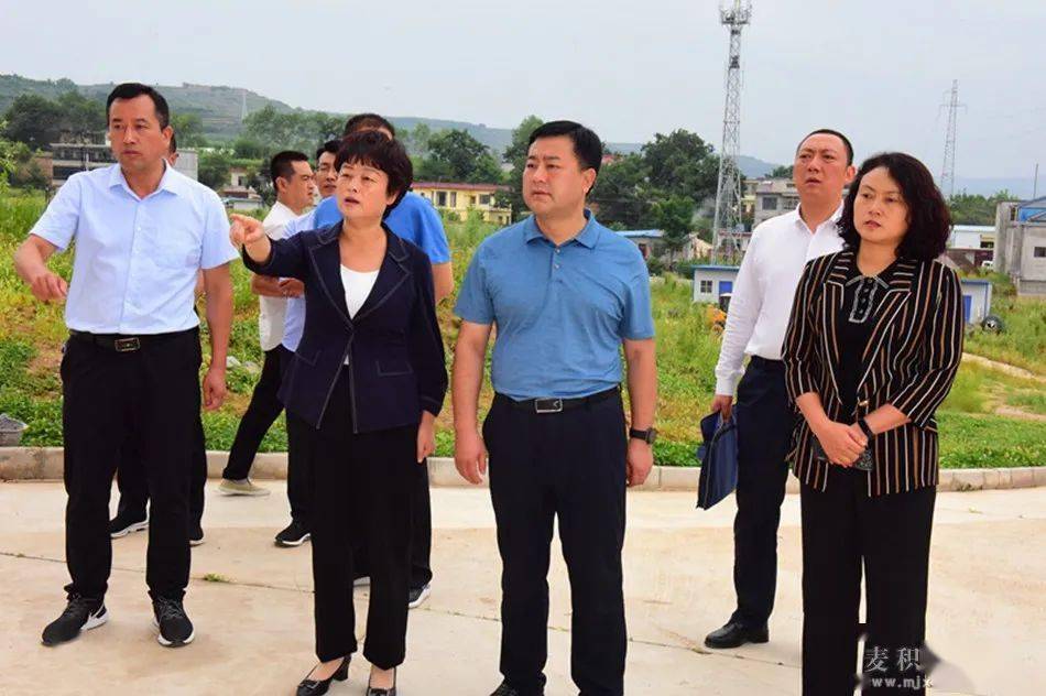 天水市副市长汪小娟调研麦积区文旅产业发展情况