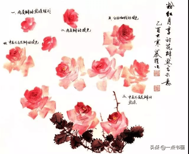 月季花写意画法图解