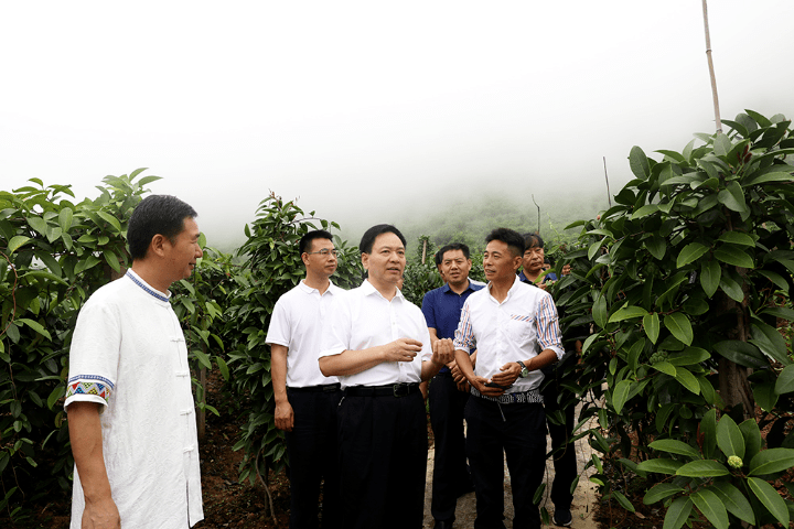 【区县动态】彭水县委书记钱建超到润溪乡调研督导乡村振兴工作