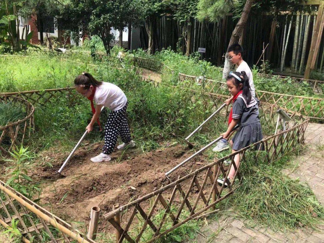 贤城资讯 当小学生和农田擦出奇趣火花~暑托班里他们迷上了体验农垦