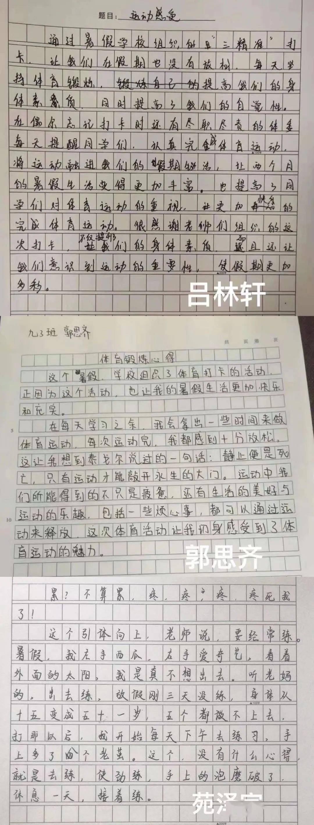 快速精準的足球比分直播