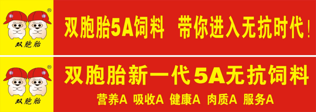 创新者先中国好饲料第9季双胞胎集团闪亮登场为ta点赞