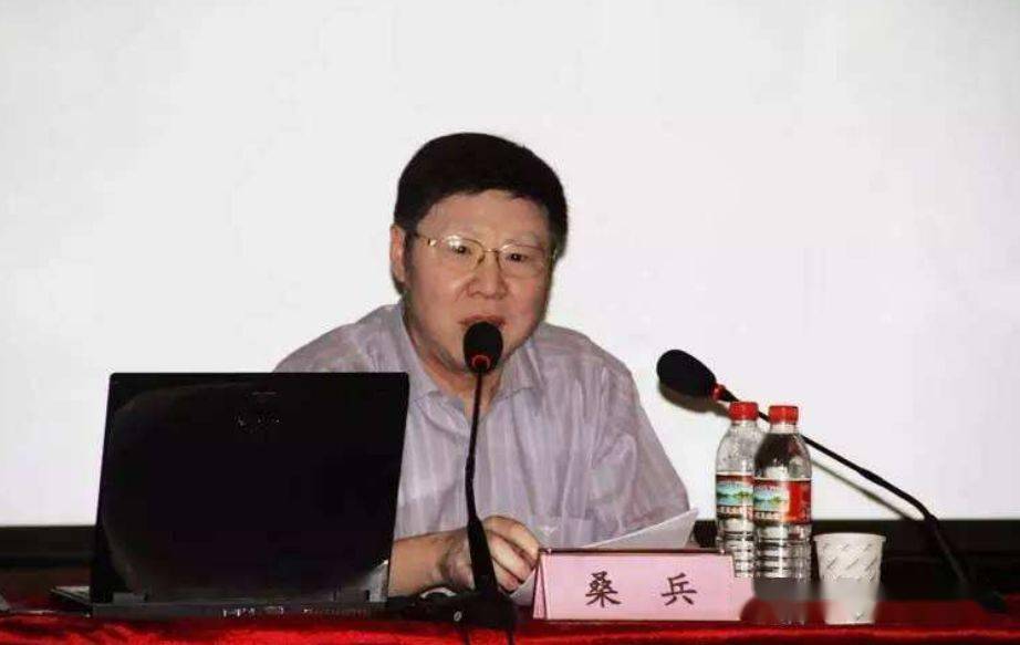 茅海建,桑兵,罗志田教授微信精品文章合集!